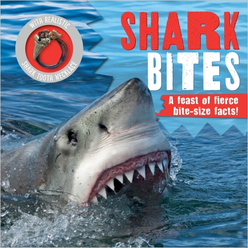 The Store Shark Bites Book The Store