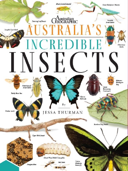 The Store - Australia's Incredible Insects - Book - The Store
