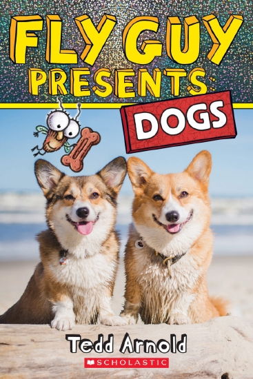 The Store - FLY GUY PRESENTS: DOGS - Book - The Store