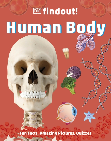 Human Body