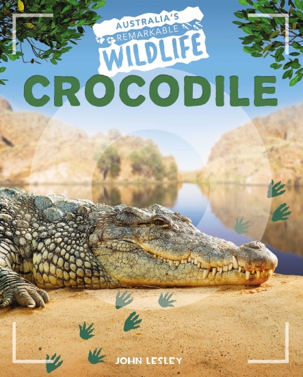 Crocodile