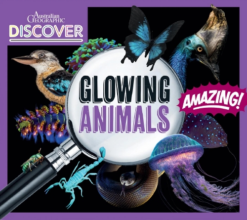 Glowing Animals