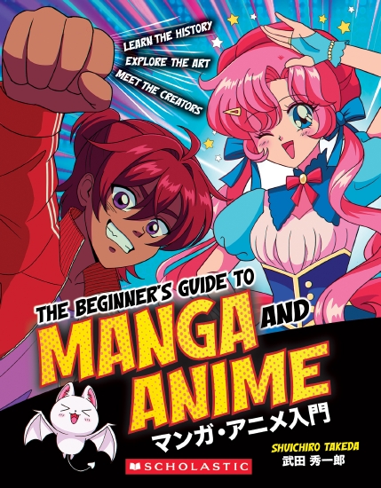 THE BEGINNER'S GUIDE TO MANGA AND ANIME PB