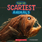 Top 10 Scariest Aniamls (Wild World)