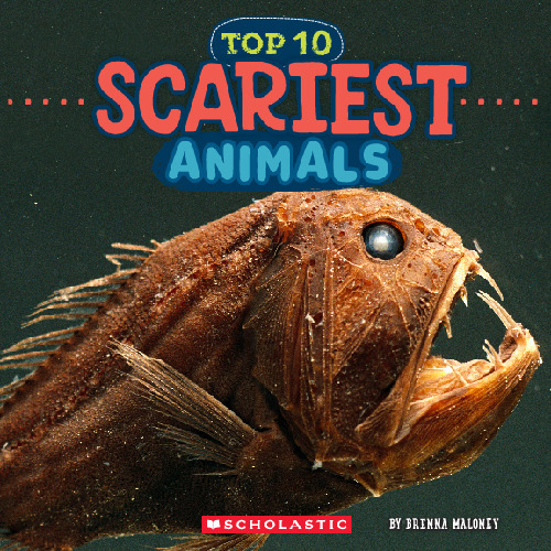 Top 10 Scariest Aniamls (Wild World)