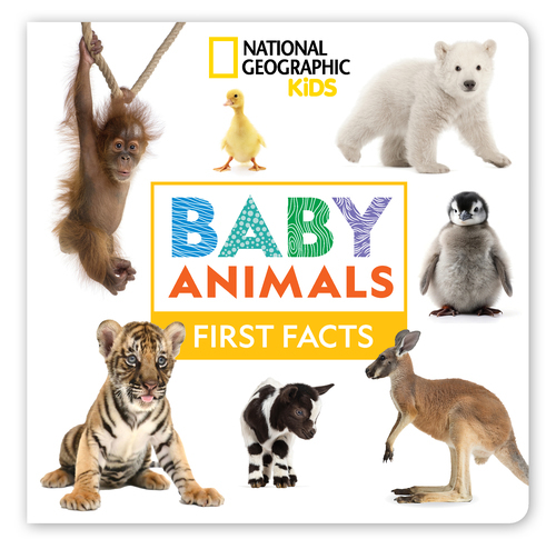 NATIONAL GEOGRAPHIC KIDS: BABY ANIMALS FIRST FACTS (DISNEY)