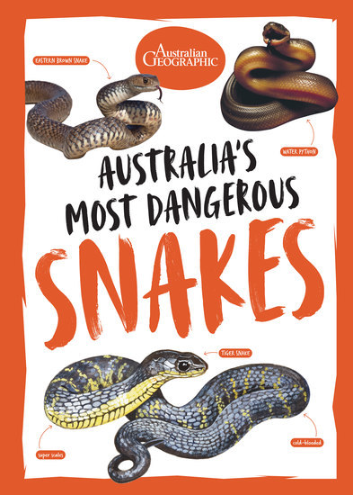 Australia's Most Dangerous Snakes