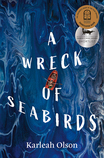 A Wreck of Seabirds