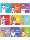 Macca the Alpaca and Friends 9-Pack