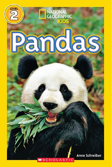 The Store - Pandas - Book - The Store