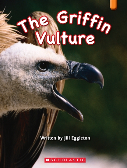 Product Kl O The Griffin Vulture Book School Essentials