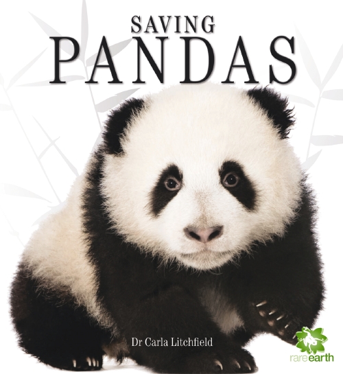 The store saving pandas book the store