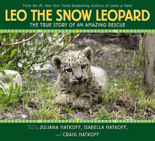 The Store - Leo the Snow Leopard - Book - The Store