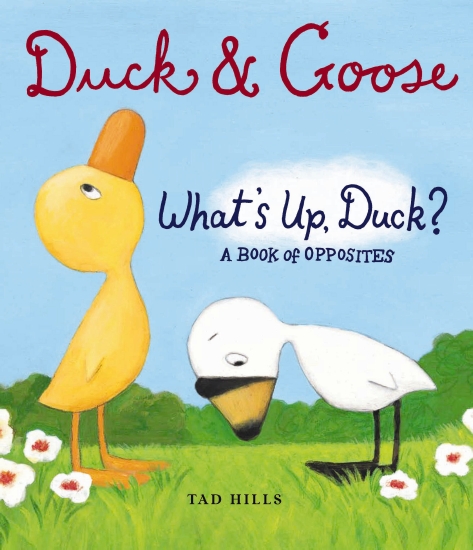 The Store - DUCK AND GOOSE WHAT'S UP DUCK? - Book - The Store