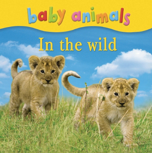 The Store - BABY ANIMALS IN THE WILD - Book - The Store