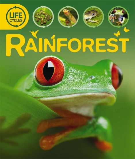 RAINFOREST LIFE CYCLES