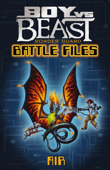 The Store - AIR BATTLE FILES #1 - Book - The Store