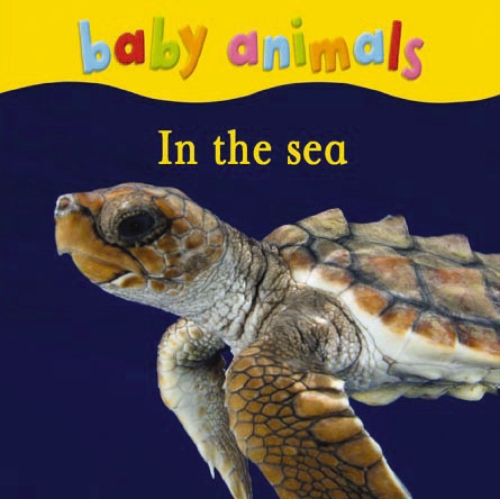 BABY ANIMALS IN THE SEA