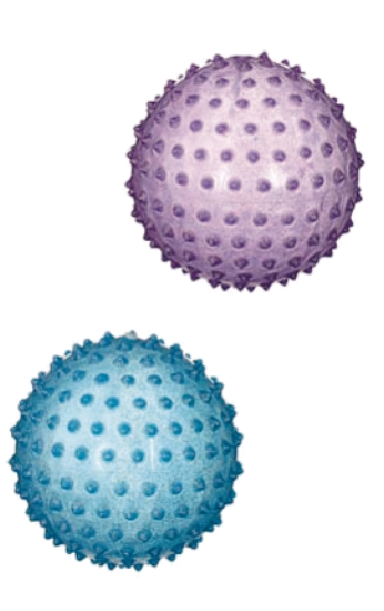9 INCH SKUSHI GLITTER BALLS