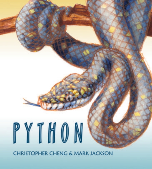 PYTHON                        