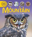 Life Cycles: Mountain                                                                               