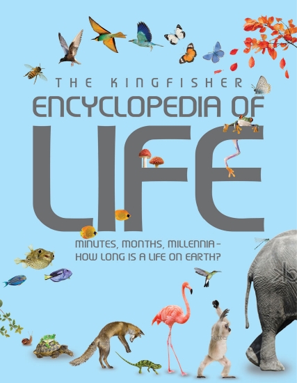 KINGFISHER ENCYCLOPEDIA LIFE