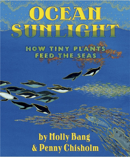 OCEAN SUNLIGHT HOW PLANTS FEED