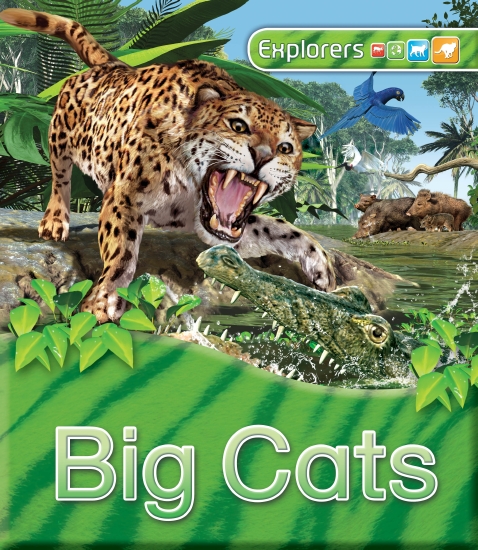 The Store - BIG CATS EXPL - Book - The Store