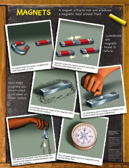 Product: MAGNETS CHART - Teacher Resource - School Essentials