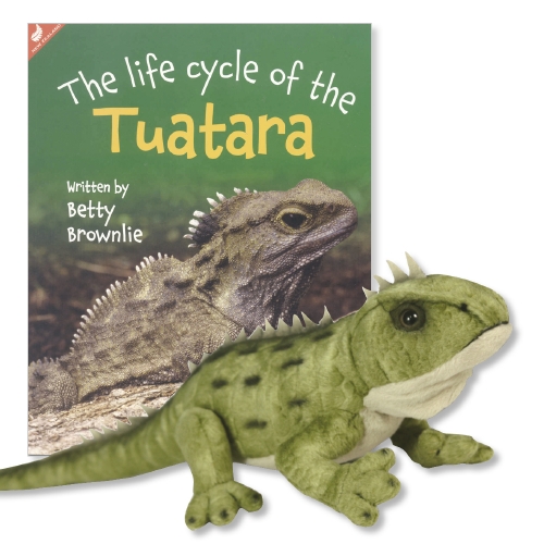 Product Learn All About The Tuatara Book School Essentials