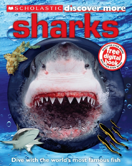 What You Should Know About Sharks Book