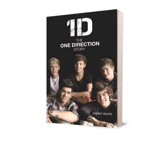 ONE DIRECTION STORY