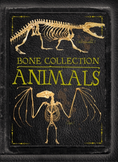 The Store - BONE COLLECTION ANIMALS - Book - The Store