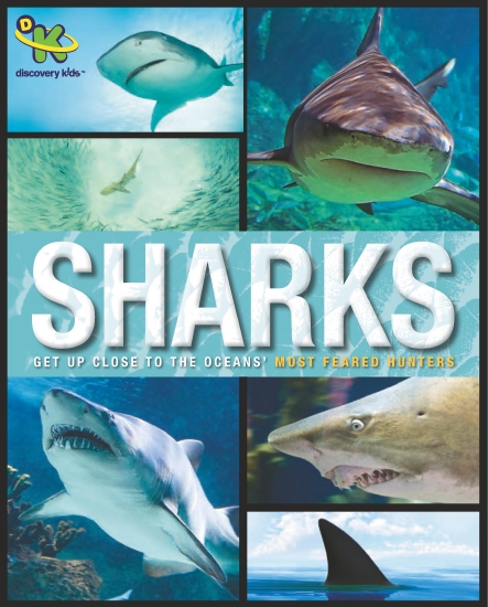 DISCOVERY KIDS SHARKS         