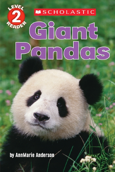 The Store - GIANT PANDAS - Book - The Store