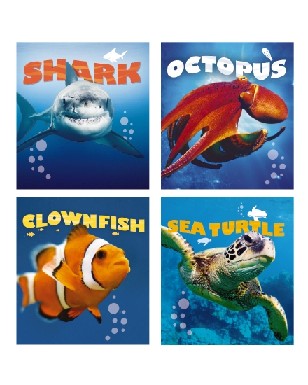 WILD PLANET OCEAN 4/PK