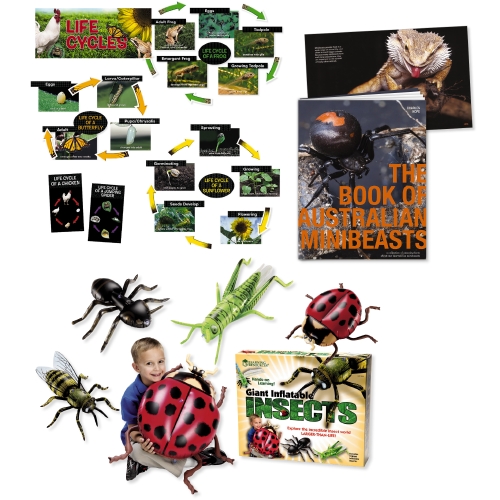 BARGAIN PACK MINIBEASTS       
