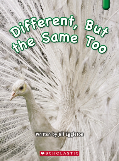 Key Links Green 23: Different But the Same Too - Book
