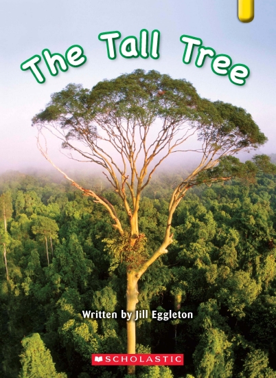 Key Links Yellow 13: Tall Tree - Book