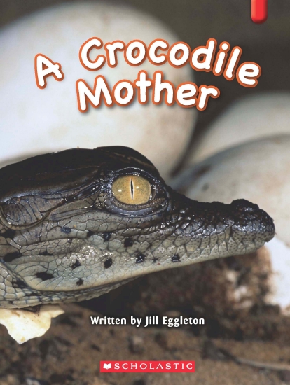 Key Links Red 16: Crocodile Mother - Book