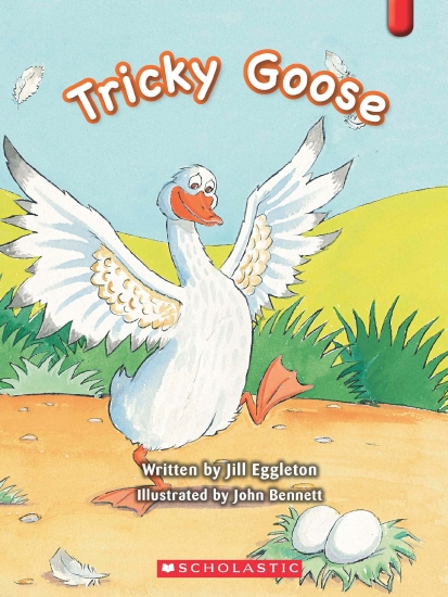 Key Links Red 18: Tricky Goose - Book