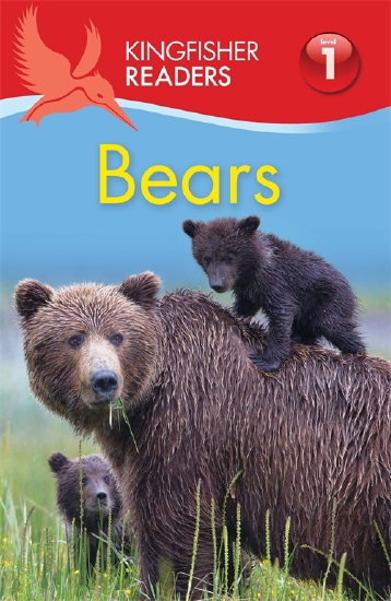 The Store - BEARS LEVEL 1 - Book - The Store