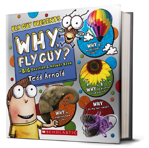 the-store-why-fly-guy-answers-to-kids-book-the-store