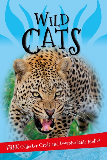 The Store - WILD CATS - Book - The Store