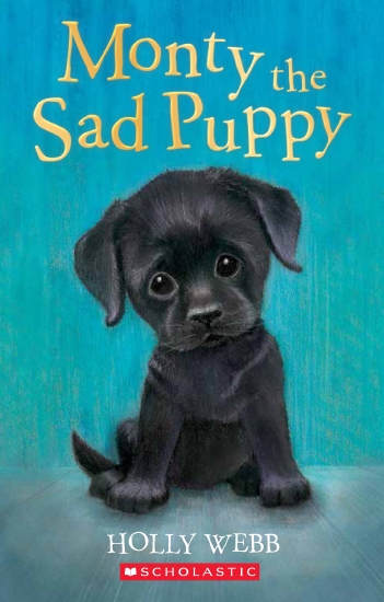 Monty the Sad Puppy                                                                                 