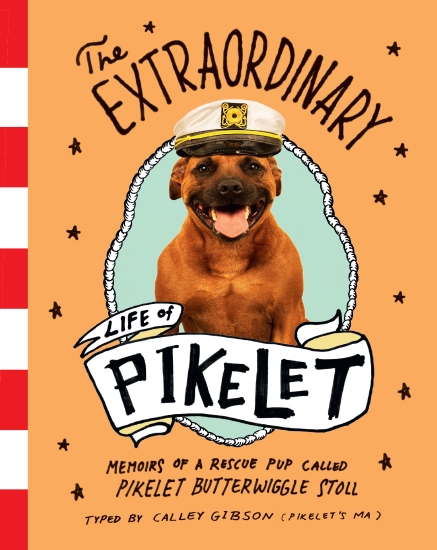 Extraordinary Life of Pikelet                                                                       