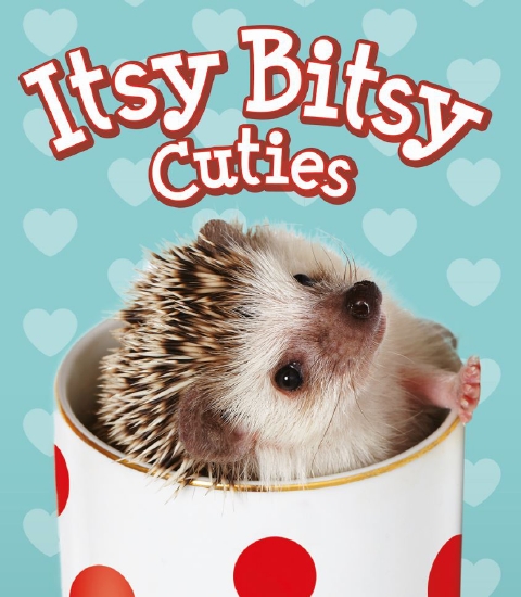 Product: ITSY BITSY CUTIES - Book - School Essentials