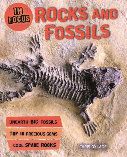 The Store - ROCKS AND FOSSILS - Book - The Store