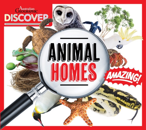 The Store ANIMAL HOMES Book The Store   8621338 Z 