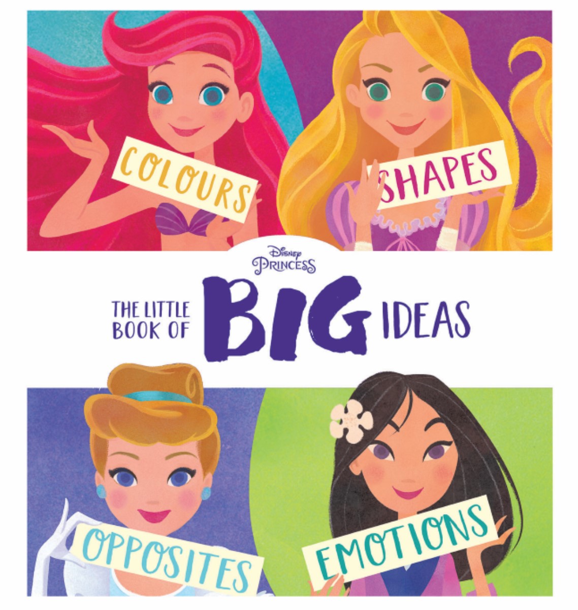 The Little Book of Big Ideas (Disney Princess)                                                      